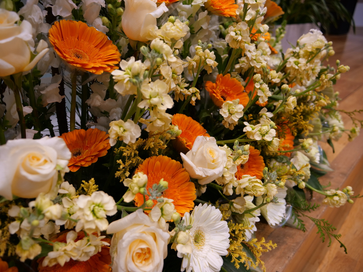 P1018637.JPG