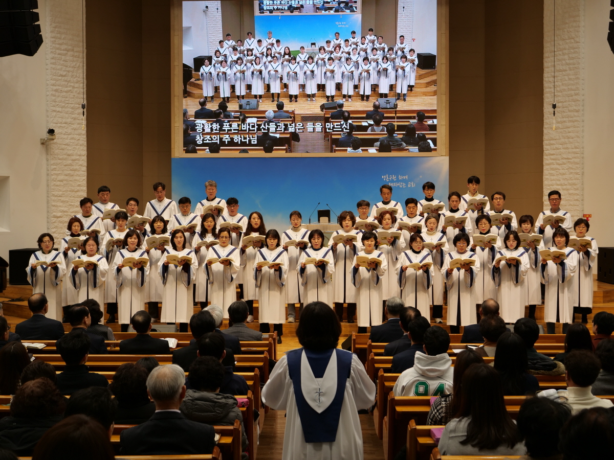 P1018791.JPG