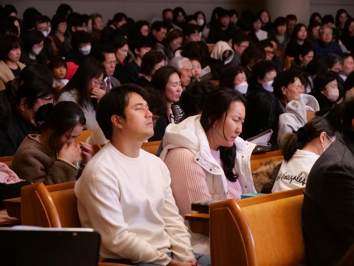 P1018841.JPG