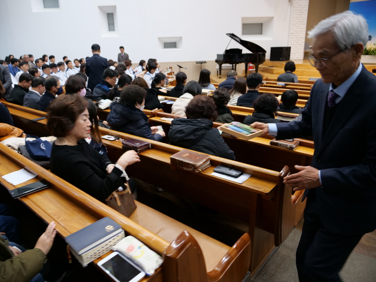 P1018917.JPG