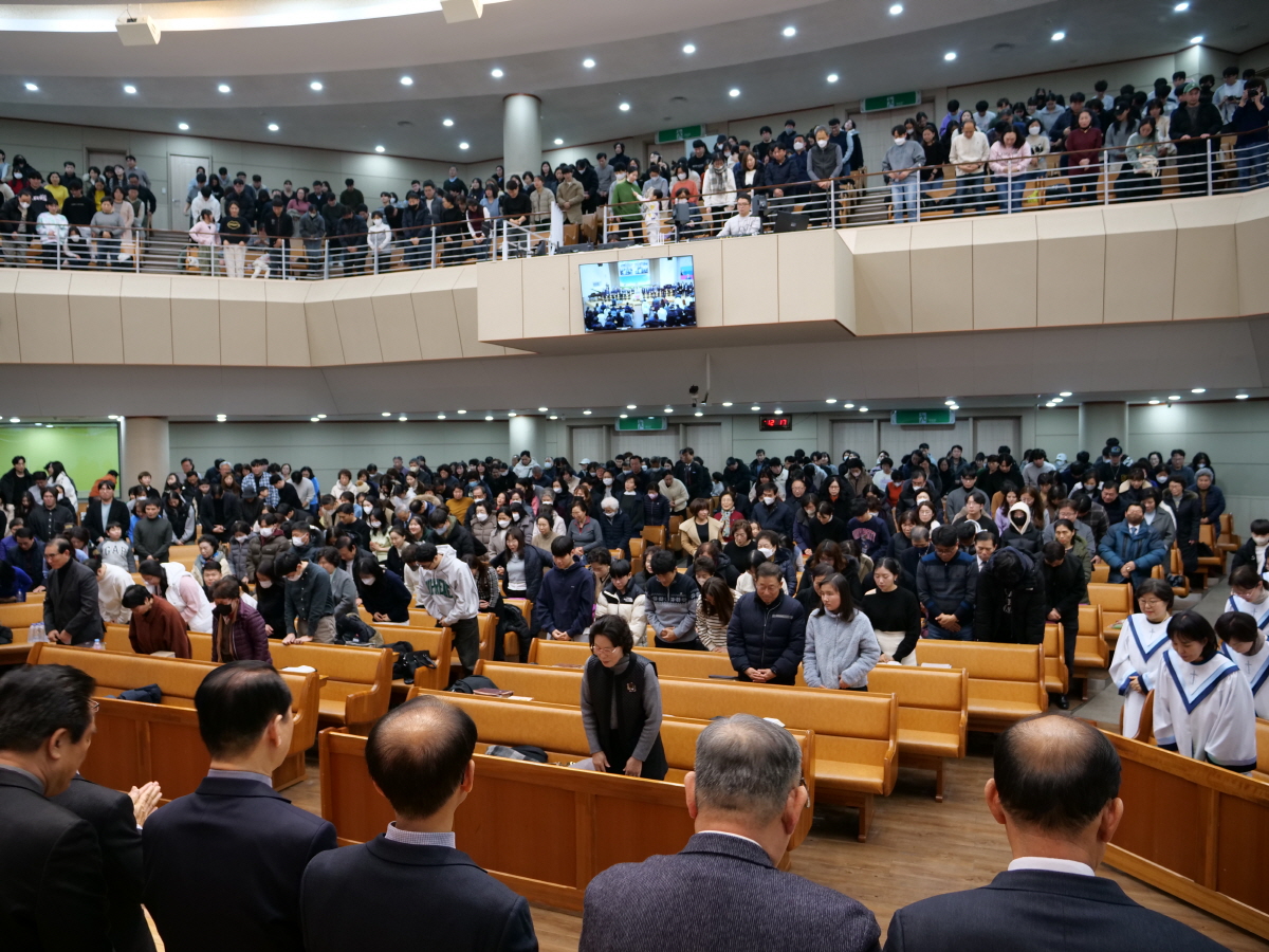 P1018955.JPG