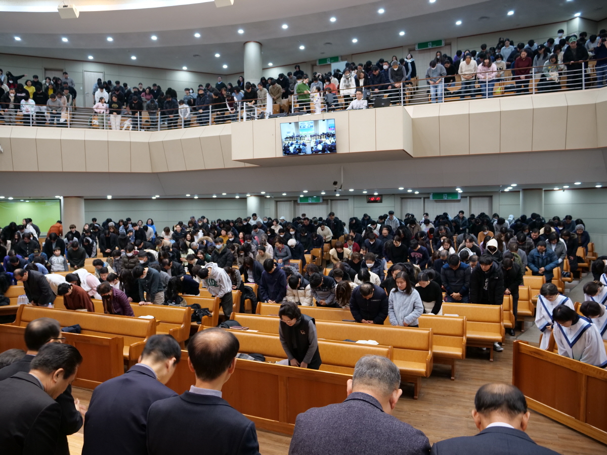 P1018956.JPG