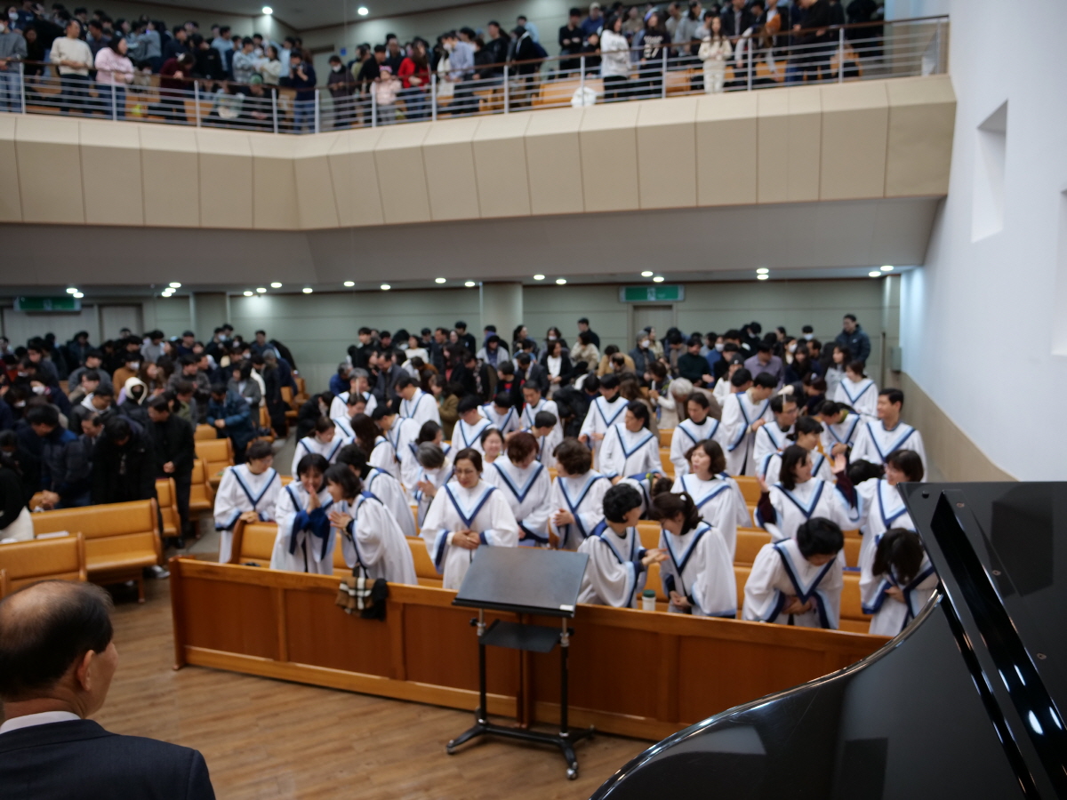 P1018961.JPG