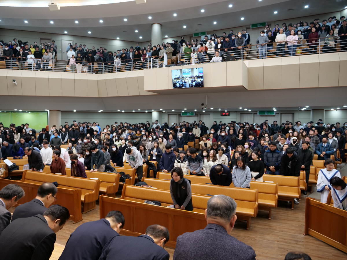 P1018959.JPG